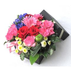 ���ӂƈ������߂�Box(�`550�j