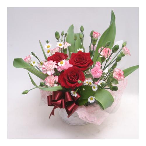 �����A�����W(A165)