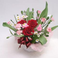 �����A�����W(A165)