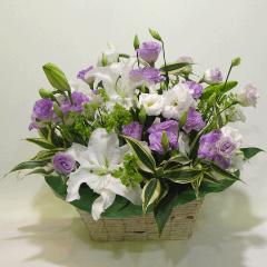 �����ƃg���R�L�L���E�A�����W�iA-062�j
