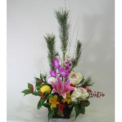 �������A�����W�iA-113)