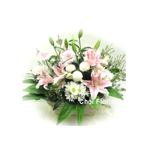 �W���s���N�̃A�����W�iA101)