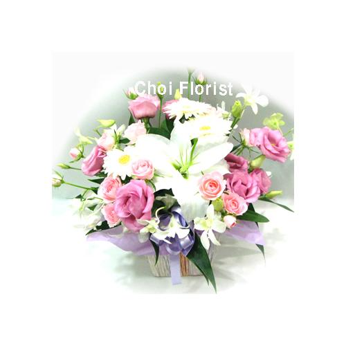 �����s���N�A�����W�iA-092�j