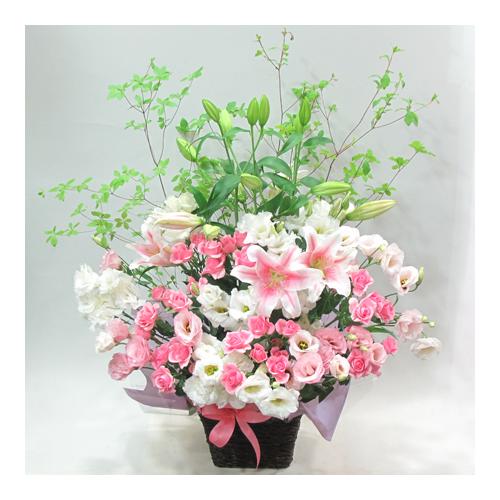 �s���N�n�A�����W�i�`267�j