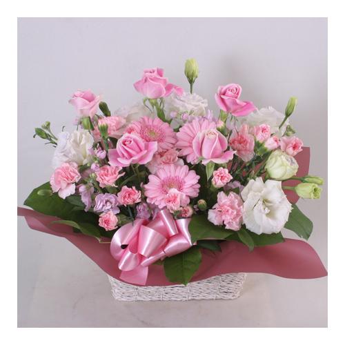 �s���N�A�����W�iA137�j2