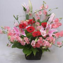 �X�C�[�g�s�A�����W�iA-119)