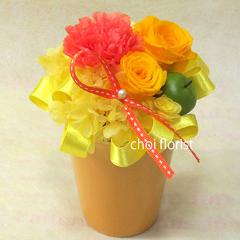 �K�������ς��iP361�j