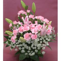 �s���N�F�̃A�����W�iA123�j