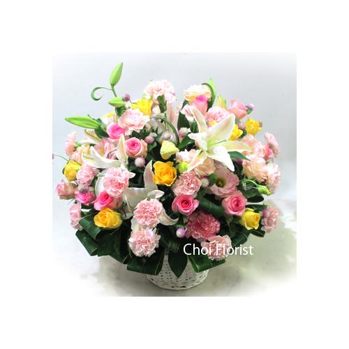 �n�b�s�[�f�[/a625