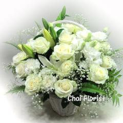 �z���C�g�o���A�����W/A714