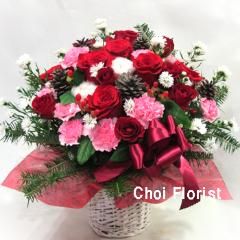 �Ԍn�̃o�X�P�b�g�A�����W/A769