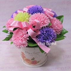 ���ӂ̐S�@�s���N�n�J�[�l�[�V�����\�[�v/sf083