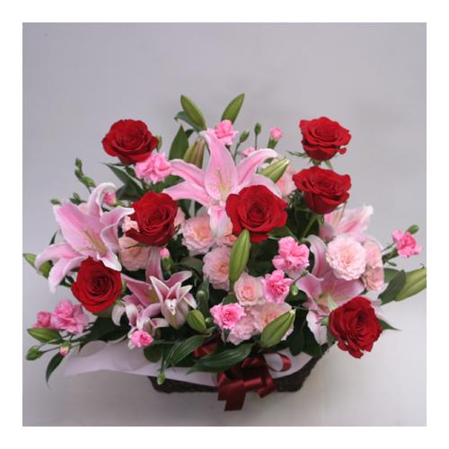 �����̉؂₩�ȃA�����W�iA163�j