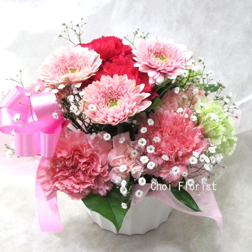 ���ꂳ��L��I�s���N�n�A�����W�@A1407�@2