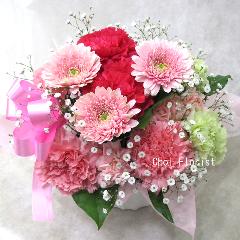 ���ꂳ��L��I�s���N�n�A�����W�@A1407�@
