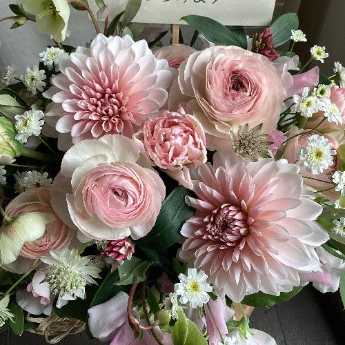 �G�߂̃A�����W�����g �s���N�n�@���t�B�A�t��2