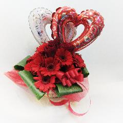 �u�n�[�c�A���h�t�B���O���[/�o���[���v�A�����W
