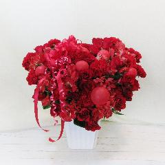 �G���K���g�F�̃��b�h�u�n�[�g�A�����W�����g�v