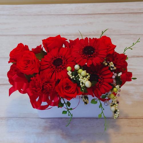 �K�[�x���̃v���U�[�u�h�t�����[������������I�X�X��!!�A�����W�����g�u���v2