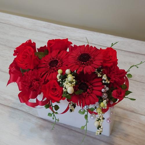 �K�[�x���̃v���U�[�u�h�t�����[������������I�X�X��!!�A�����W�����g�u���v6