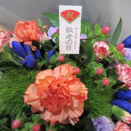 �H�̂��ԁu�����h�E�v����荇�킹���i�`�������A�����W�����g6