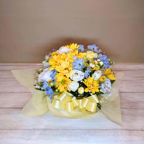 �y�b�g�����̂������ɂ��ǂ����u�X�v���[�}������������������A�����W�����g/�C�G���[�v2