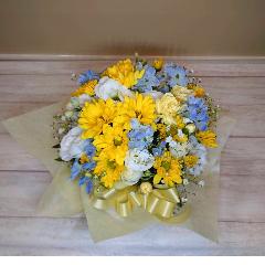 �y�b�g�����̂������ɂ��ǂ����u�X�v���[�}������������������A�����W�����g/�C�G���[�v