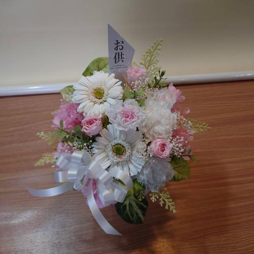 �D�����F�����̂������v���U�[�u�h�t�����[�A�����W�����g3