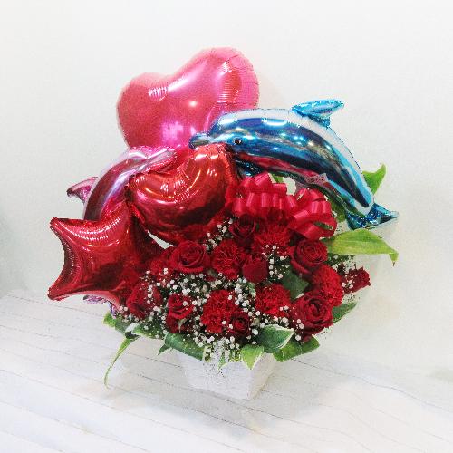 �o���[���A�����W/LOVERS DOLPHIN/�h���t�B���y�A�[5