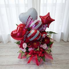 ���c���L�����f�B�o���[���t��/�o���[���A�����W�����g(���b�h)���c��