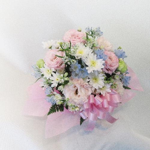 �y�b�g�����̂������ɂ��ǂ����u�X�v���[�}������������������A�����W�����g/�s���N�v4