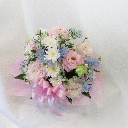 �y�b�g�����̂������ɂ��ǂ����u�X�v���[�}������������������A�����W�����g/�s���N�v5