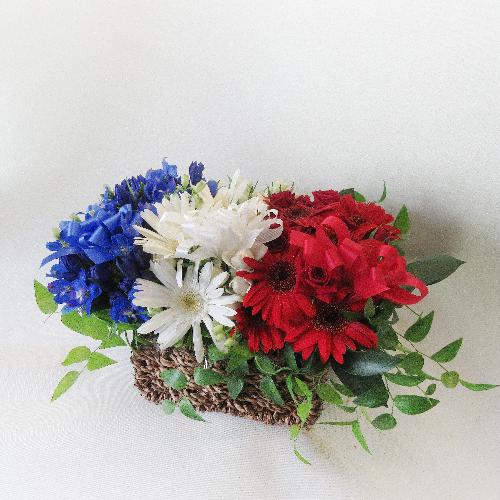 �g���R���[���J���[�A�����W�����g2