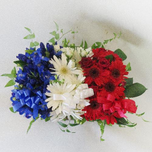 �g���R���[���J���[�A�����W�����g4