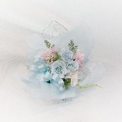 �v���U�[�u�h�t�����[���n�[�g�^�W���G���[�{�b�N�X�A�����W(�X�J�C�u���[)