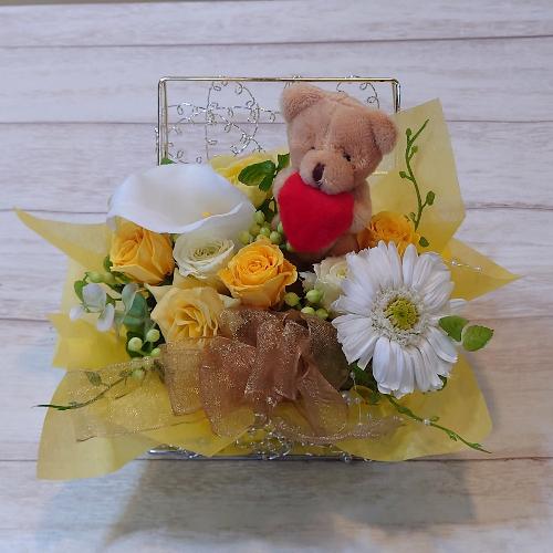 ���K�N�v���U�[�u�h�t�����[�̃W���G���[�{�b�N�X�A�����W�����g�u���u�x�A�v2