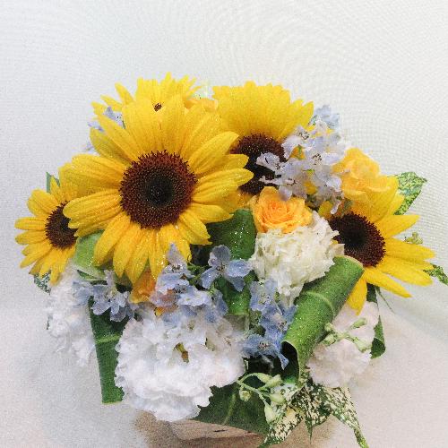 �M���b�g�����Ђ܂��A�����W�����g(�Č��菤�i)5