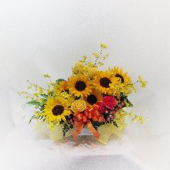 �X�^�C���b�V�����c�Ђ܂��A�����W�����g�u�_���V���O�C�G���[�v