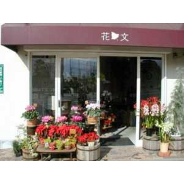 �X�܊O�ω摜