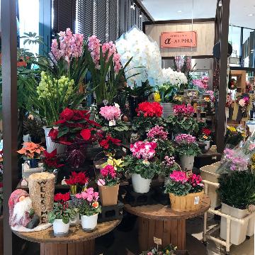 �X�܊O�ω摜