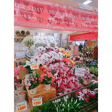 �X�܊O�ω摜