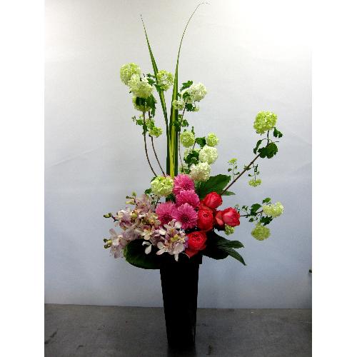 �X�^�C���b�V���A�����W�����g