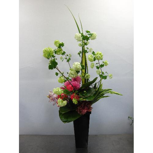 �X�^�C���b�V���A�����W�����g2
