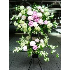 �X�^���h2�i�B���^�ɁB