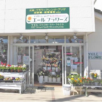 �X�܊O�ω摜