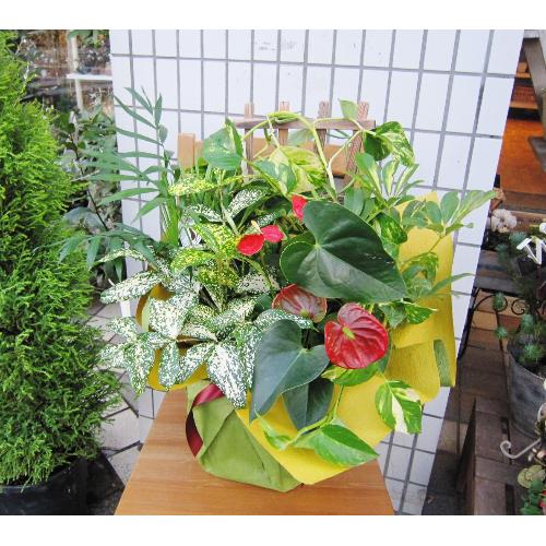 green on the table (�ϗt�A���̊񂹐A���j