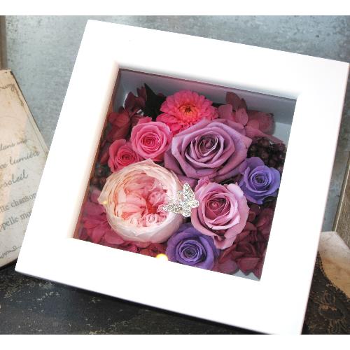 Quadrato �i�N�A�h���[�g�jpink purple