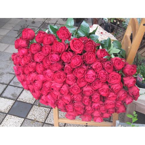 ROSERAIE�@�i���Y���j�@100�{�̐Ԃ��o��