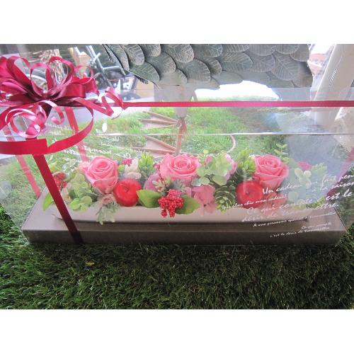 pomme rouge�i�|�����E���[�W���j