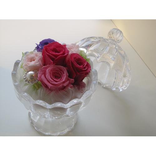petit ange �v�e�B�@�A���W��2